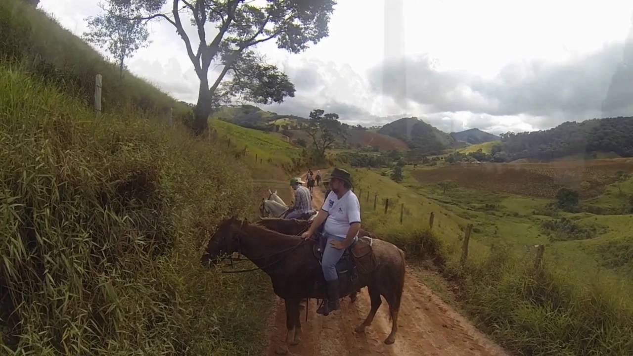 Haras S&atilde;o Benedito