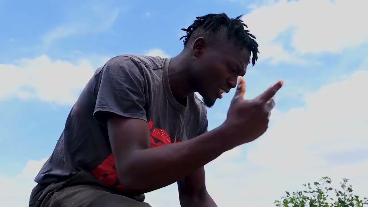 Bidzo D - Ndimwari ( Official Music Audio)