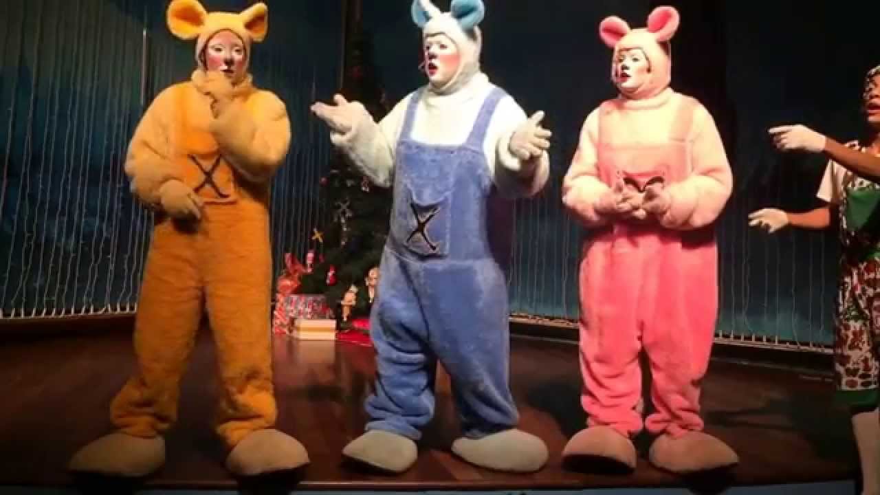Teatro Sr Mussarela.  20/11/2014