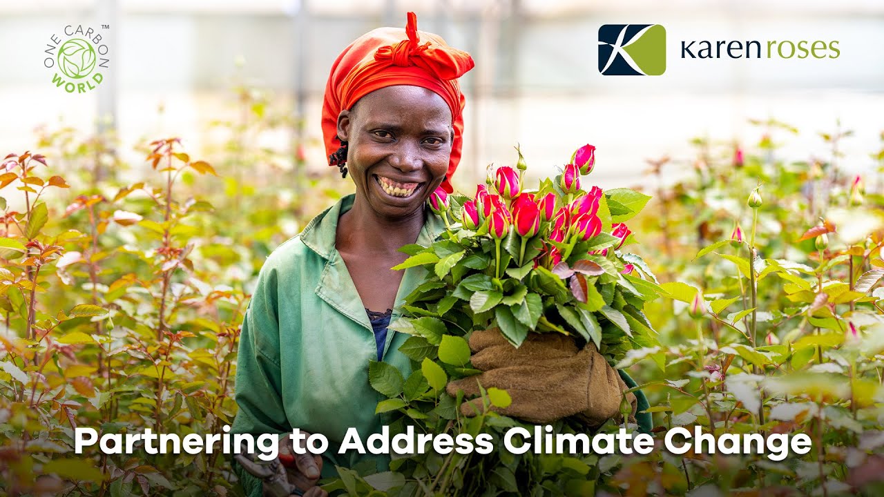 Karen Roses + One Carbon World : Partnering to Address Climate Change