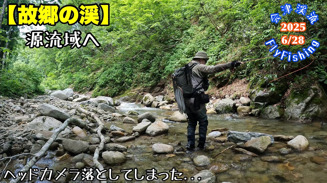 【会津渓流FlyFishing】故郷の渓、源流域へ。