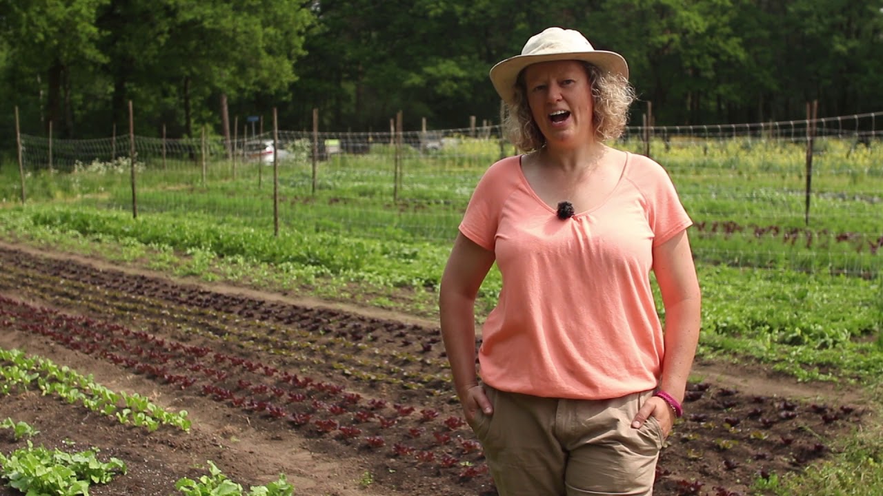 De Tuinders van de Veldhof; Valerie