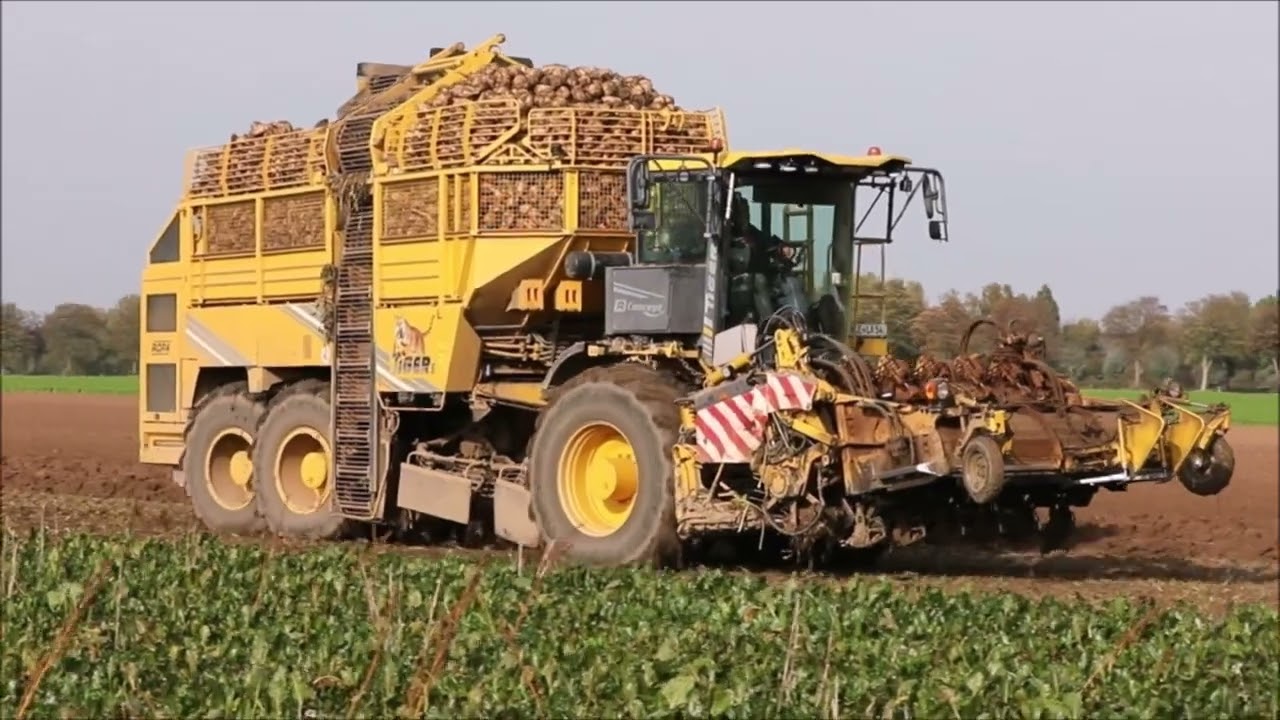 Ropa Tiger 5 bei der Ernte!