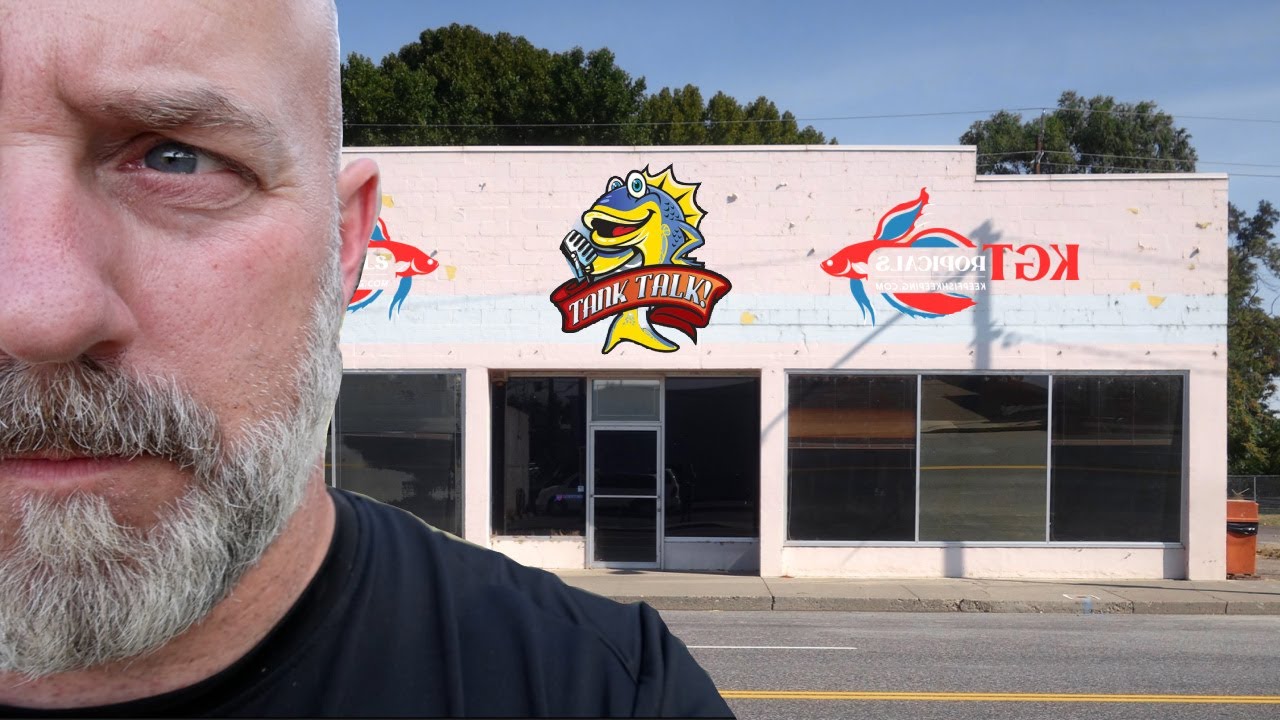 Fish Stores, the GOOD, the BAD and the UGLY! Tank Talk Podcast Episode 1