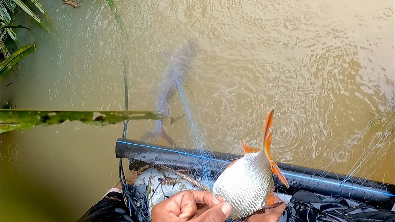rezeki menjarin ikan di musin tengkujuh #eps298 #fishing