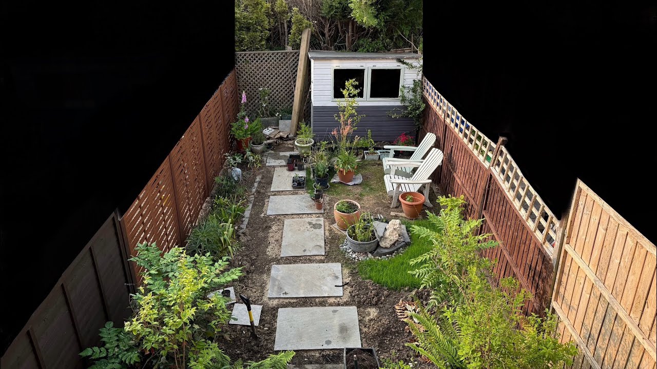 Small north facing garden early June 2025