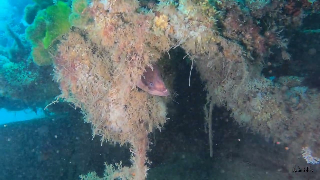 Inmersión de buceo 
