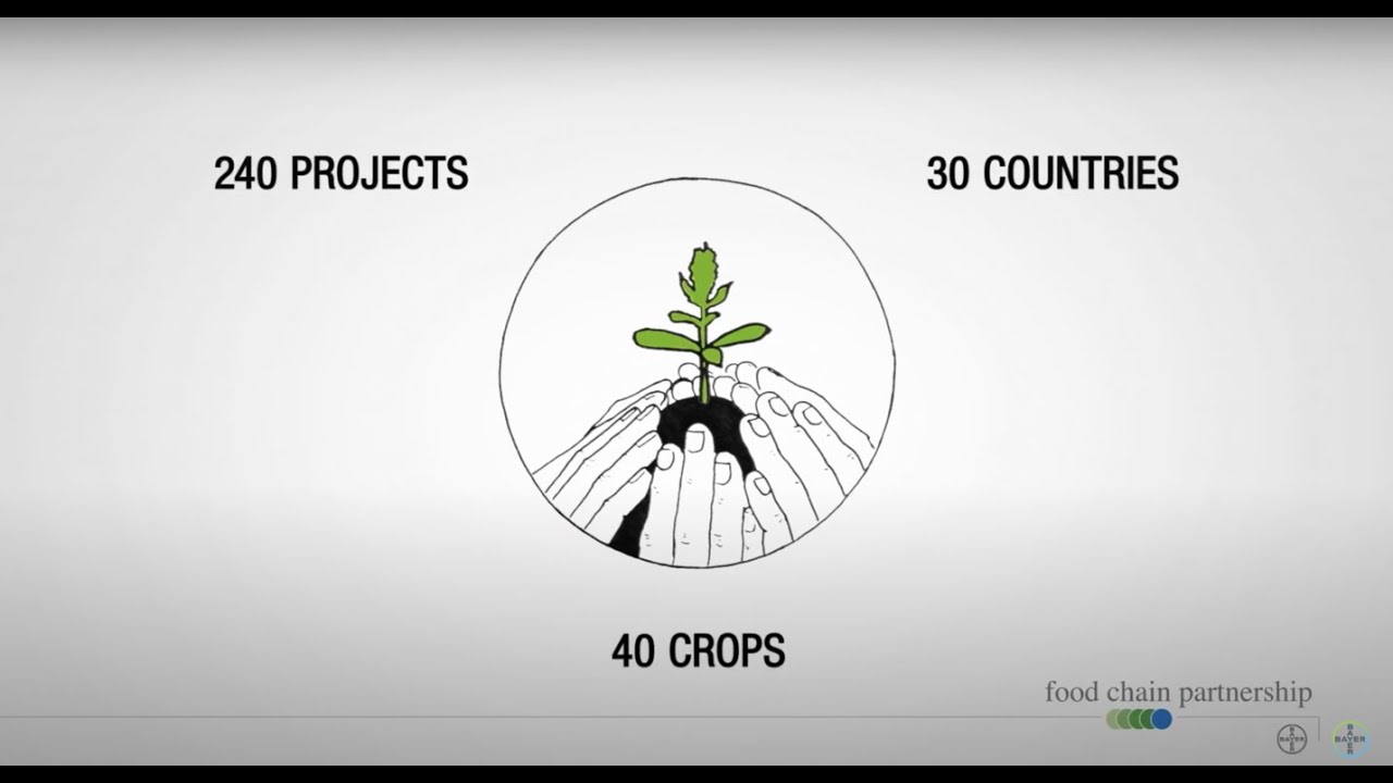 Bayer Crop Science | Food Chain Partnership