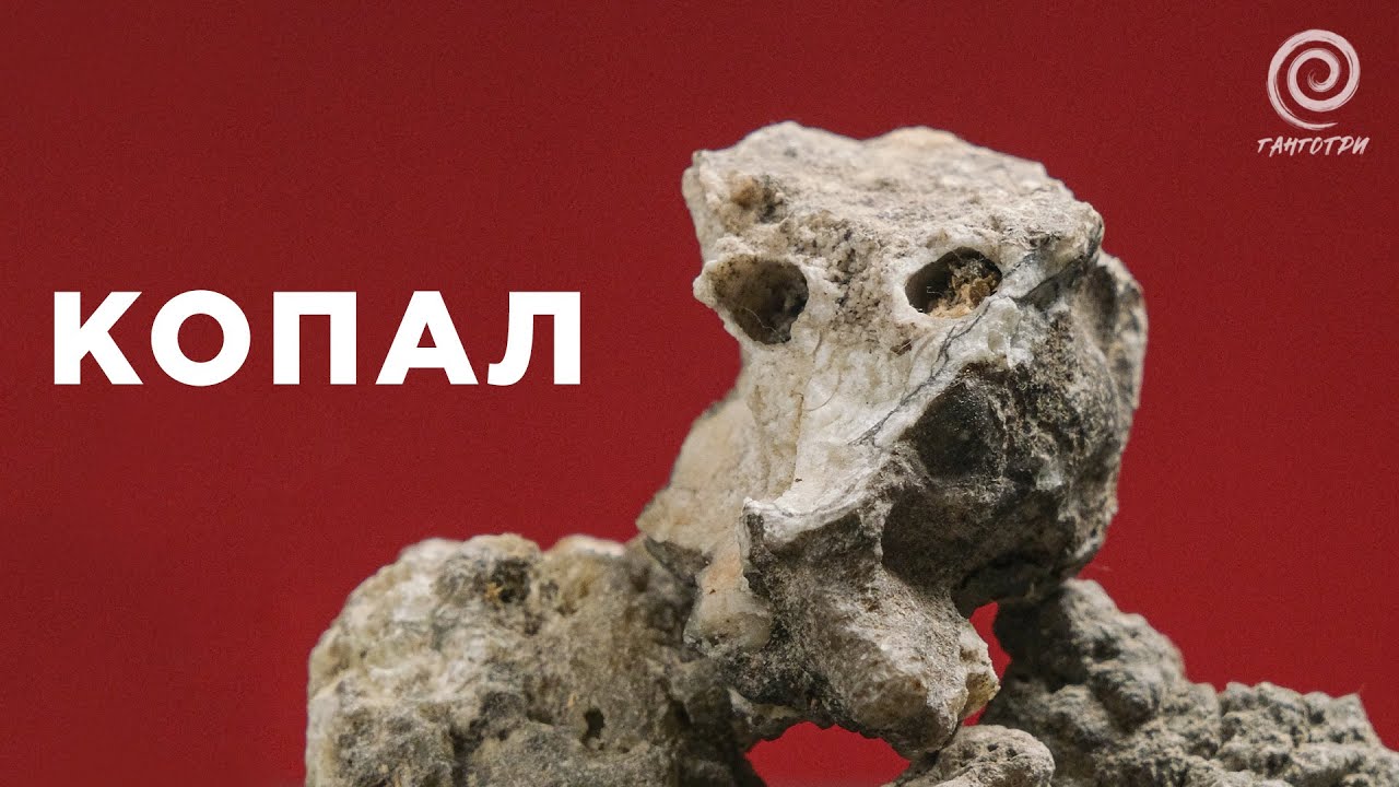 Что такое Копал?
