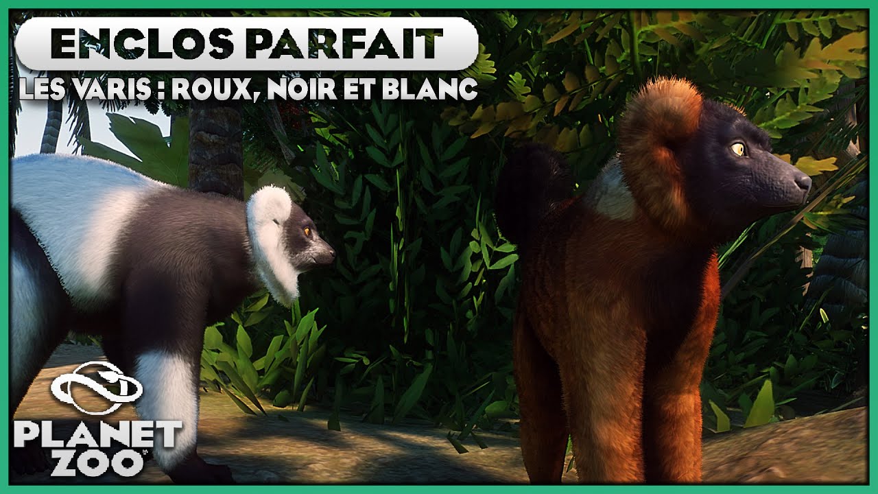 Les Varis Roux, Noirs et Blancs | LES ENCLOS PARFAITS : EPISODE 103 | PLANET ZOO