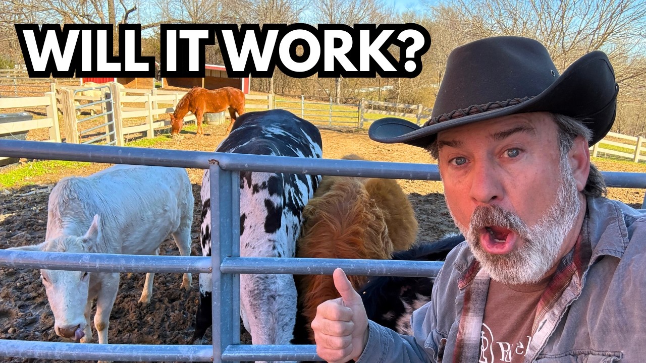 Will THIS Work? | Big Changes | Rambling