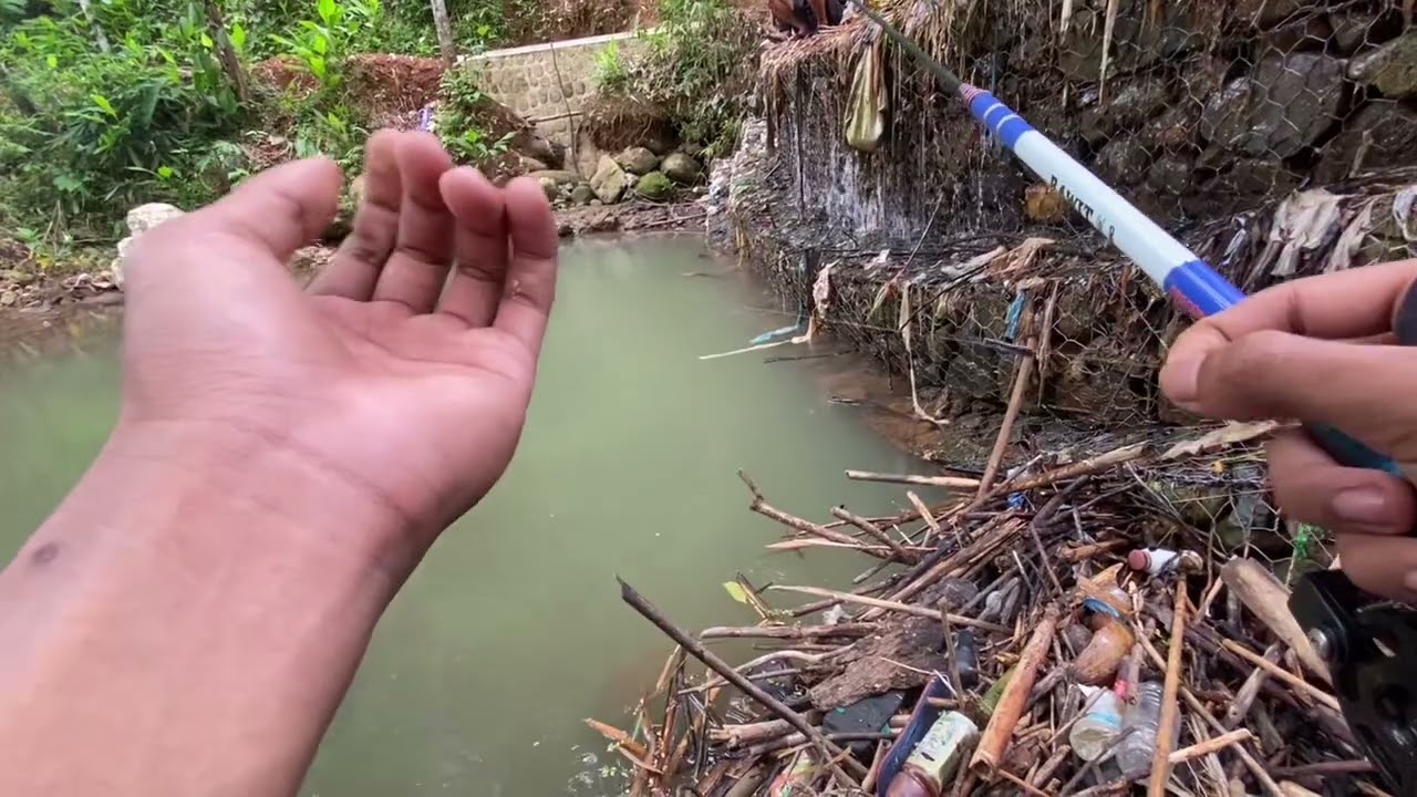 mancing di kali penkol bondalem spot andalan bosq