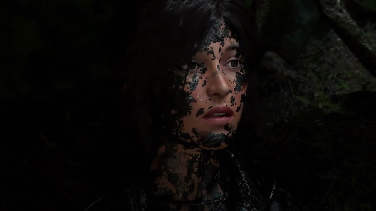 SHADOW OF THE RAIDER