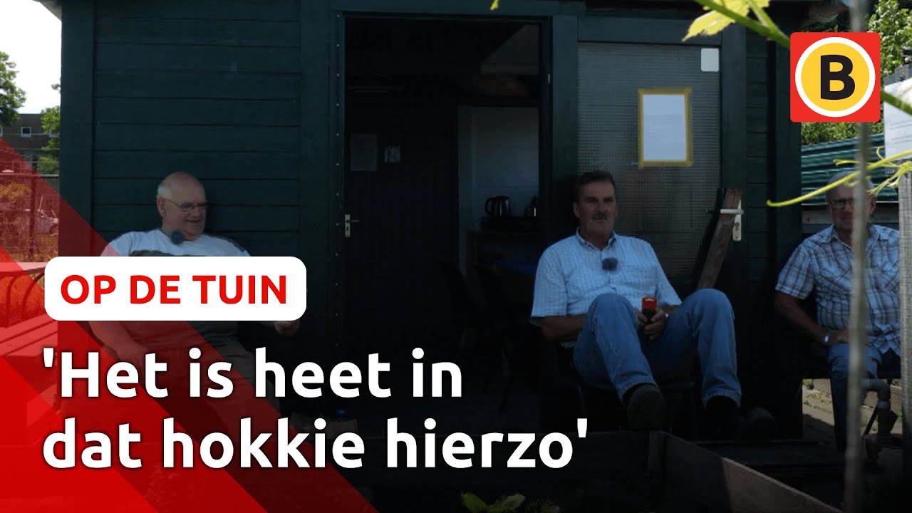 Toon bouwt een tuinhuis | Op de tuin