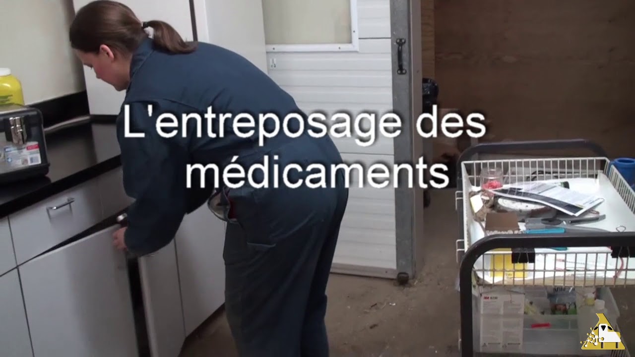 La pharmacie ovine de base