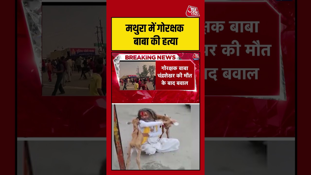 Mathura Sadhu Murder: मथुरा में गोरक्षक बाबा की हत्या के बाद भारी बवाल #shortsviral #latestnews