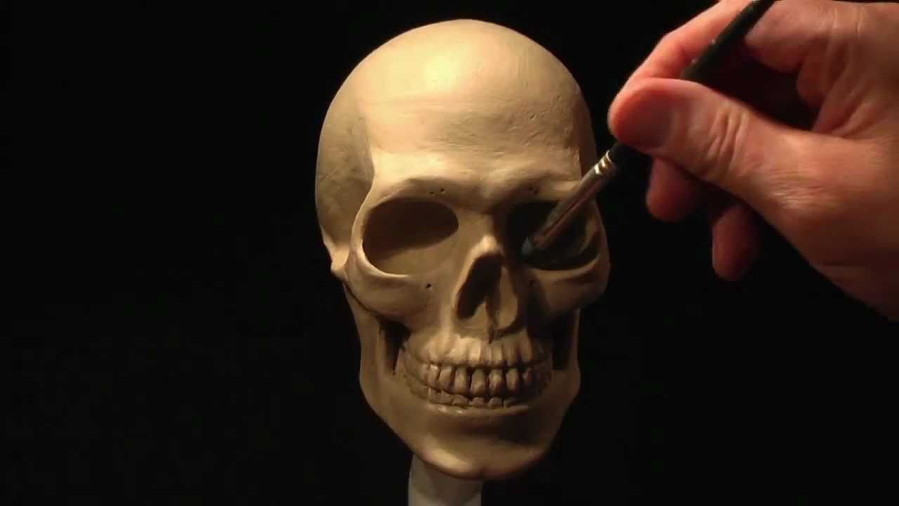 Sculpting a Human Skull in Clay_part-3 of 3