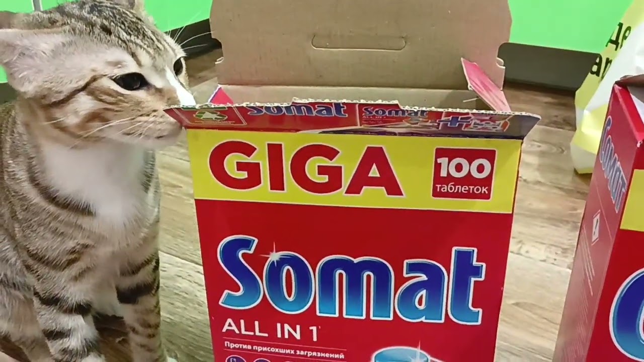 таблетки для посудомоечной машины somat гига 140 отзыв