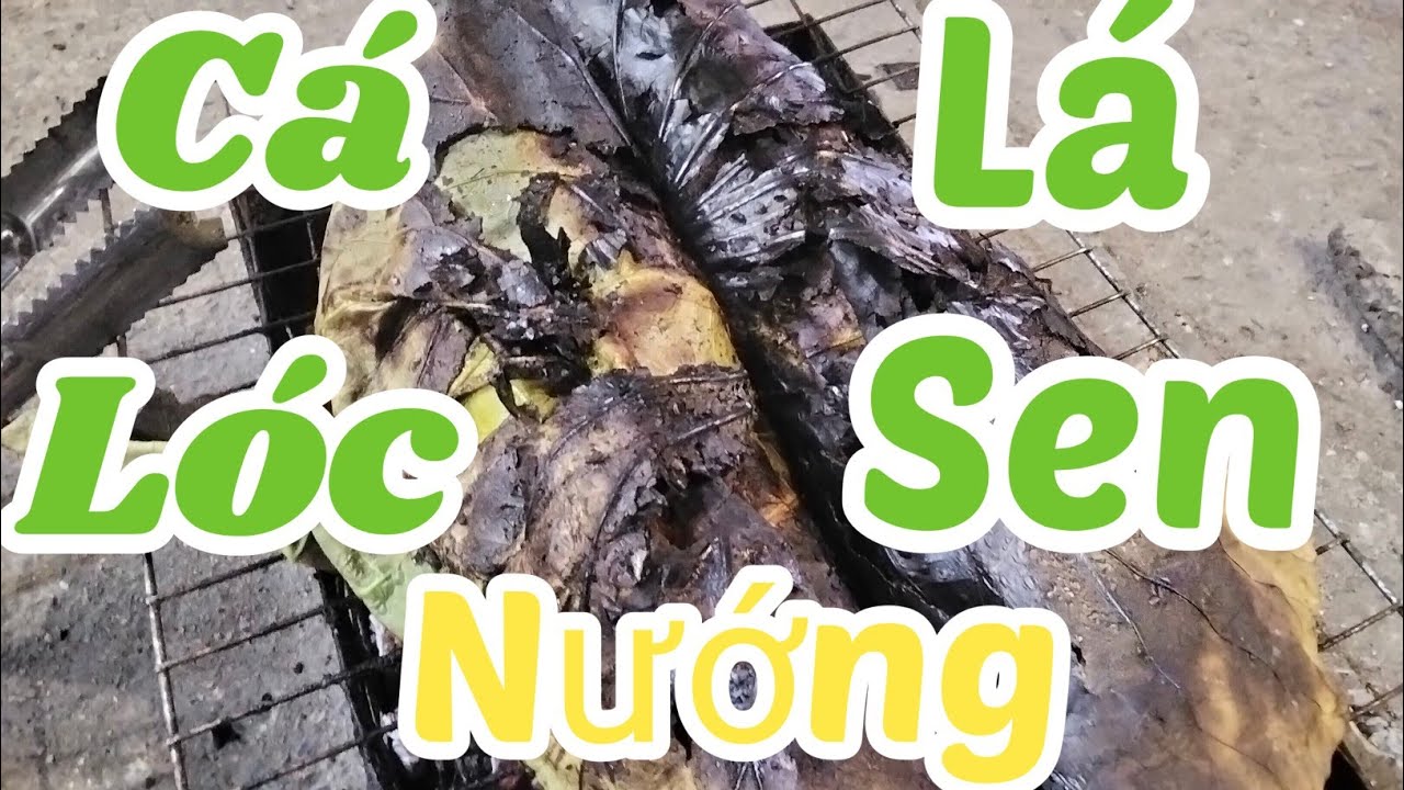 Cá lóc nướng lá Sen, món ăn dân dã, lần đầu trãi nghiệm