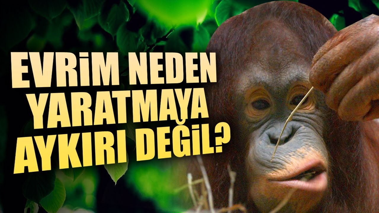 Evrim Allah'ın Yaratmasına Aykırı Değildir ?