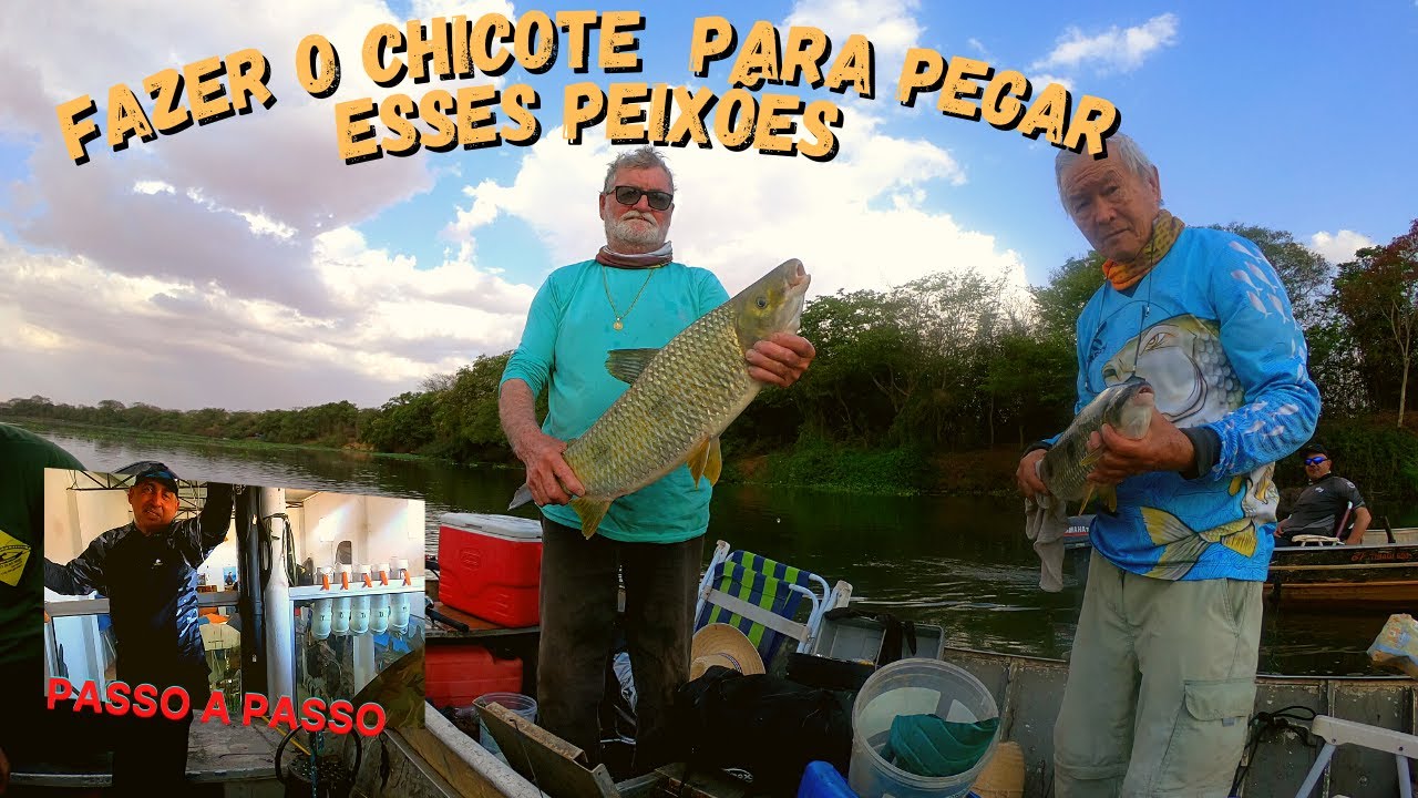 CHICOTE QUE NÃO ARREBENTA COM OS GIGANTES