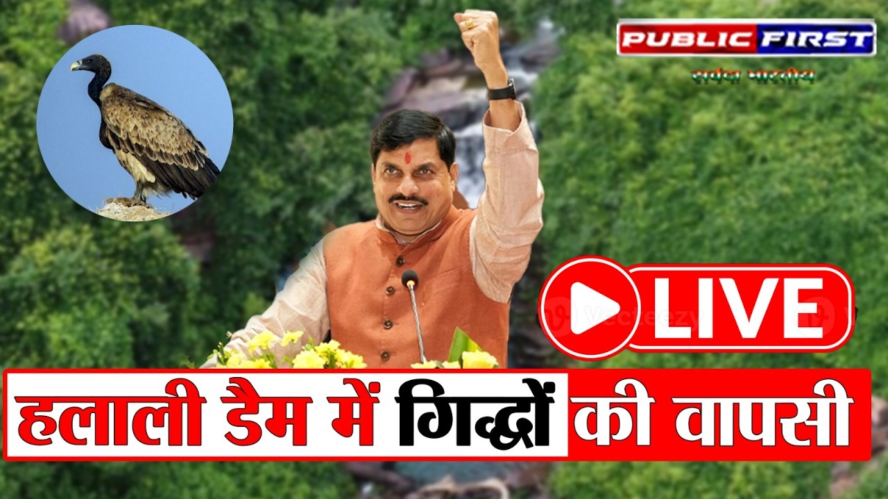हलाली डैम पहुंचे CM मोहन यादव | जल संरक्षण और विकास पर बड़ा संदेश | Public First