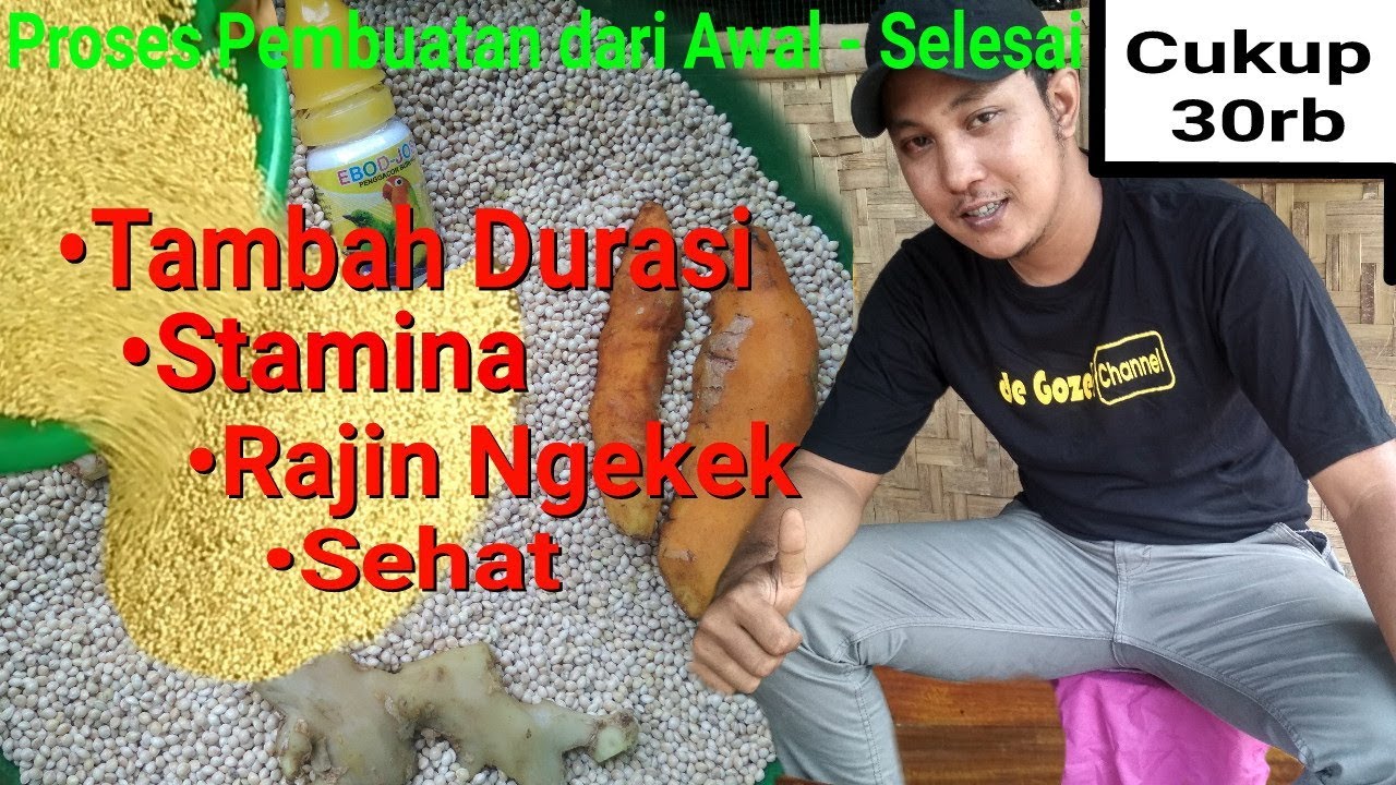 Pakan Lovebird Ngekek Panjang | Terbaru dan Terbukti Ampuh !