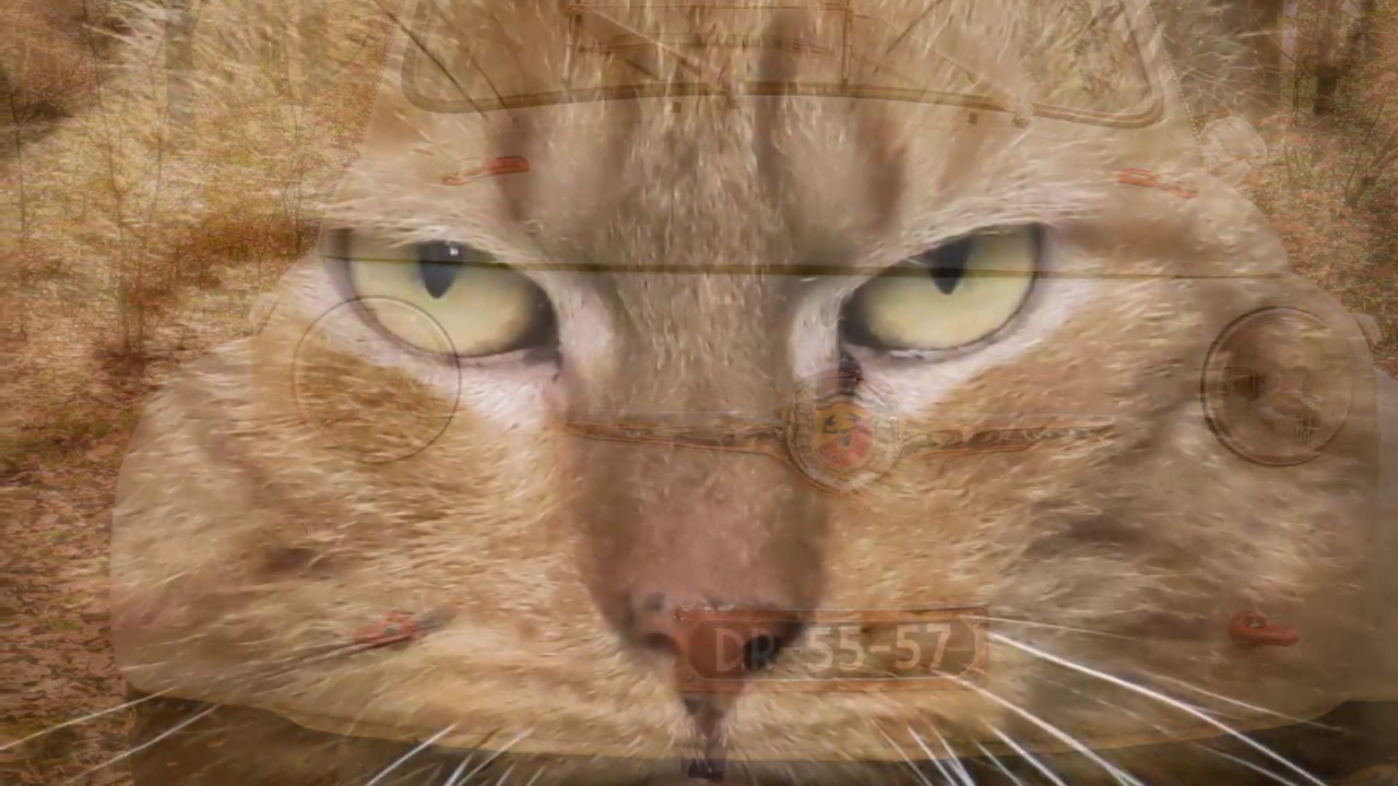 Canon Powershot G3X photos