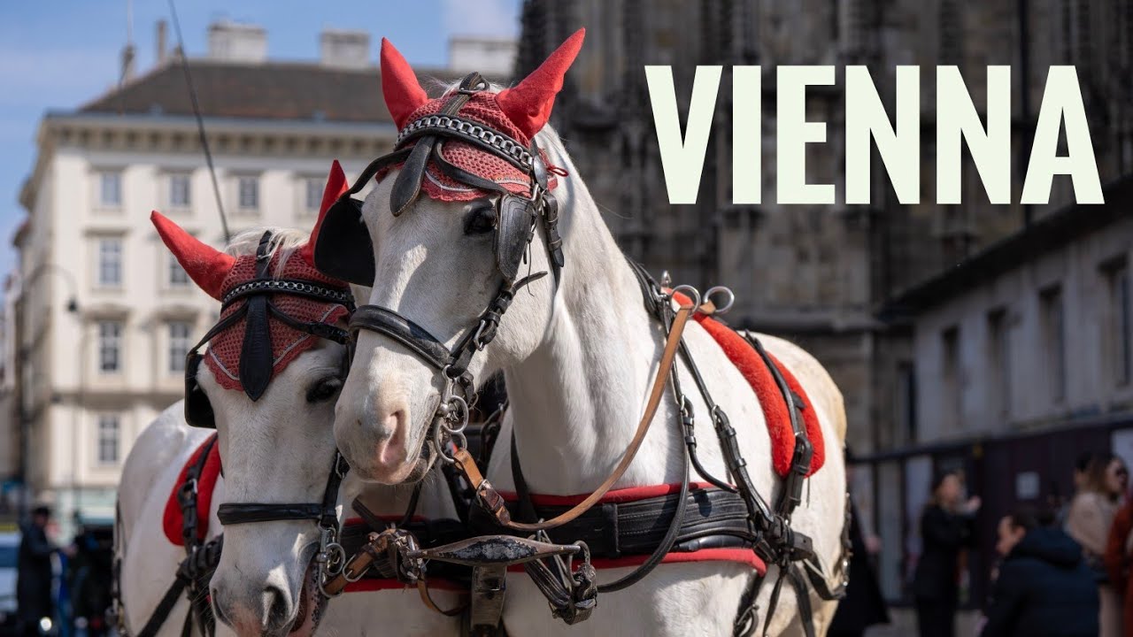 Vienna Highlights: A Dreamy Itinerary for a Memorable Experience!