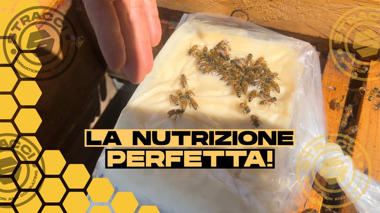 La Nutrizione Perfetta per le Api!