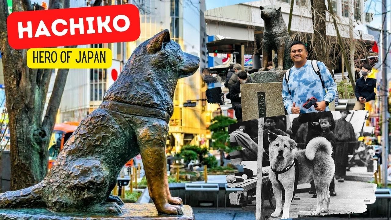 EP #8 🇯🇵 ലോകത്തിലെ ഏറ്റവും തിരക്കേറിയ Hachiko 🦮കവല | World's Busiest Shibuya Crossing