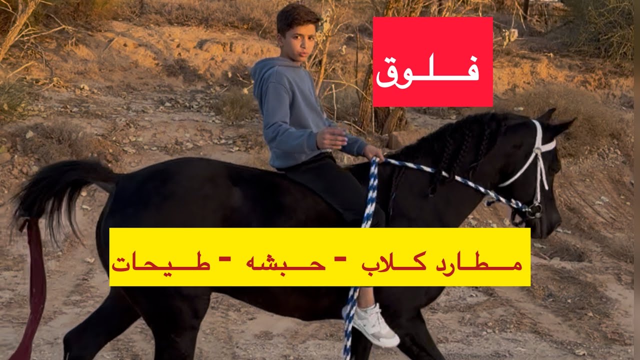 فلوق | ركوب وفعاليات مع الفرسان 😍