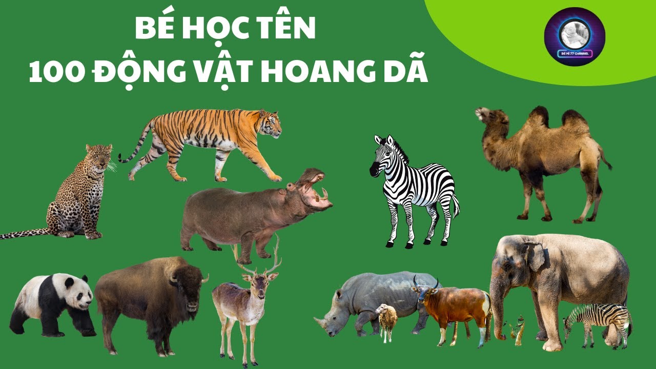 Học Tên 100 Loài Động Vật Dễ Nhớ – Phát Triển Ngôn Ngữ Cho Trẻ 2-6 Tuổi