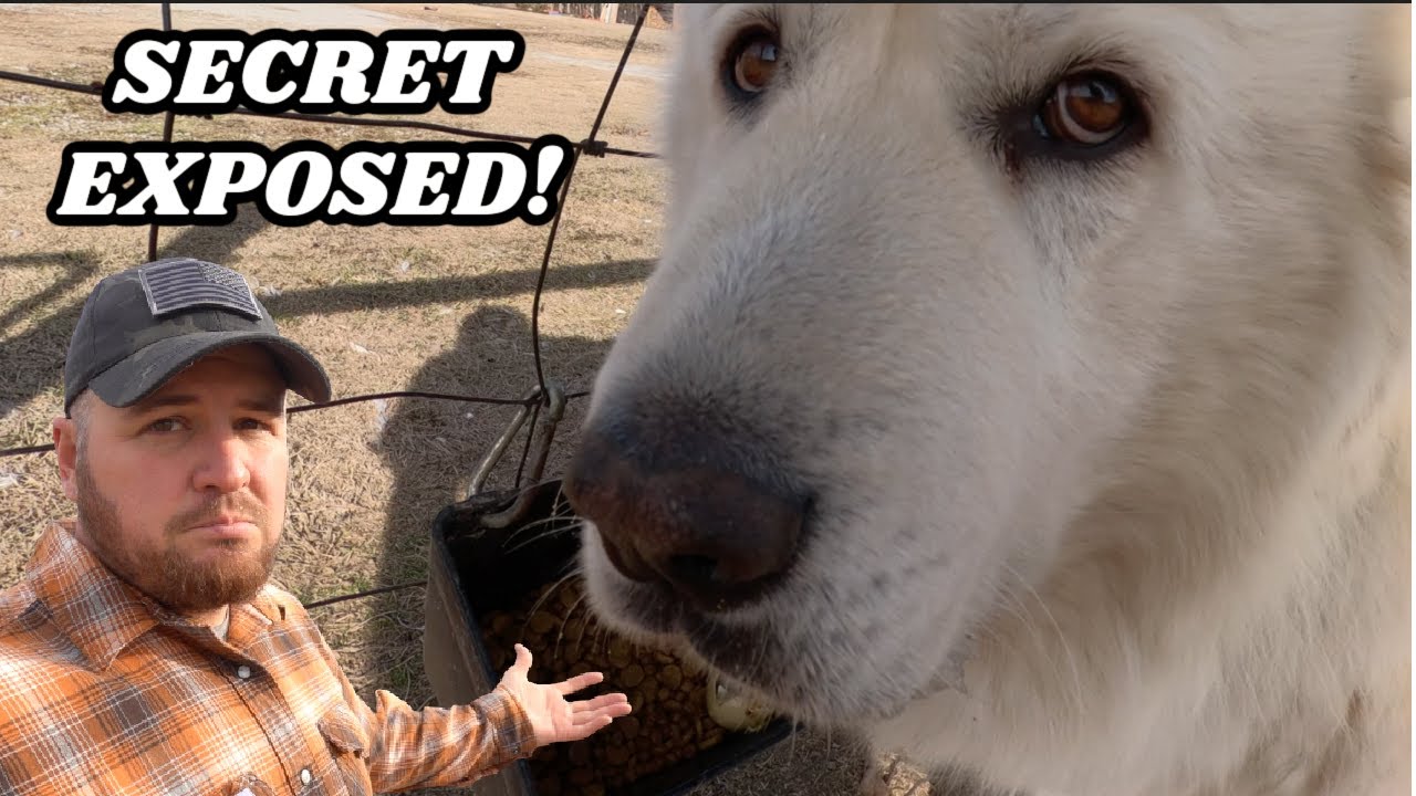 THE SECRET I'VE NEVER TOLD, UNTIL NOW!