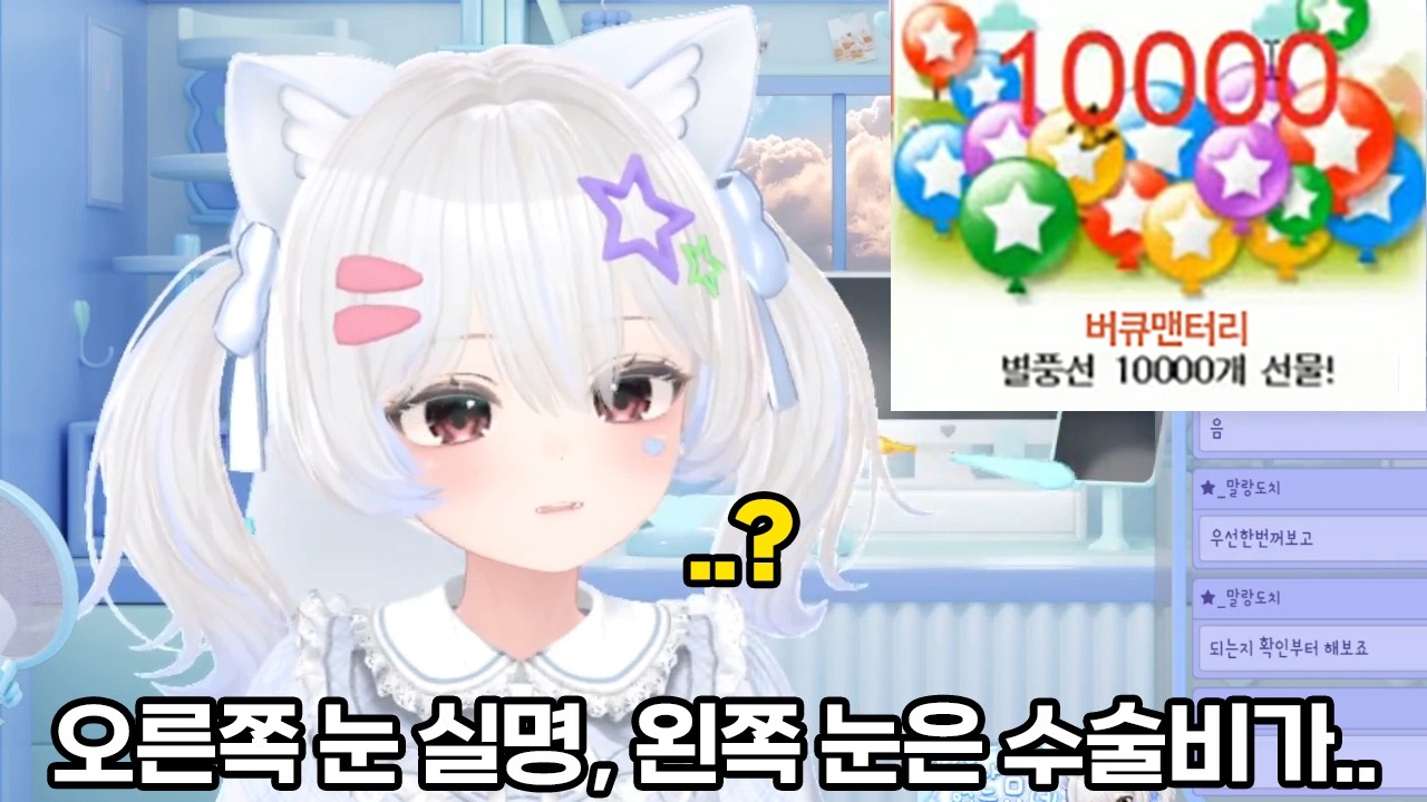 실명 직전인 버튜버에게 100만원을 후원했습니다