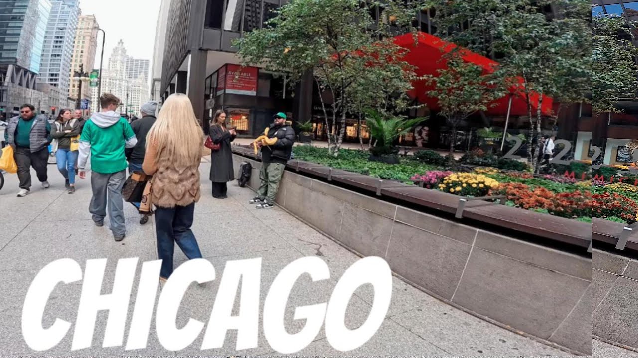 Chicago Riverwalk Walking fall Tour