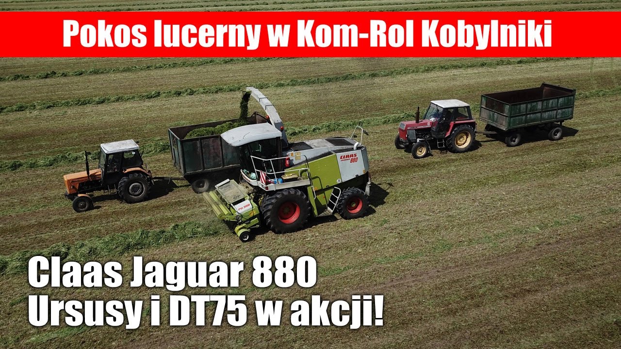 Pokos lucerny w Kom-Rol Kobylniki - Claas Jaguar, Ursusy i DT75 w akcji!