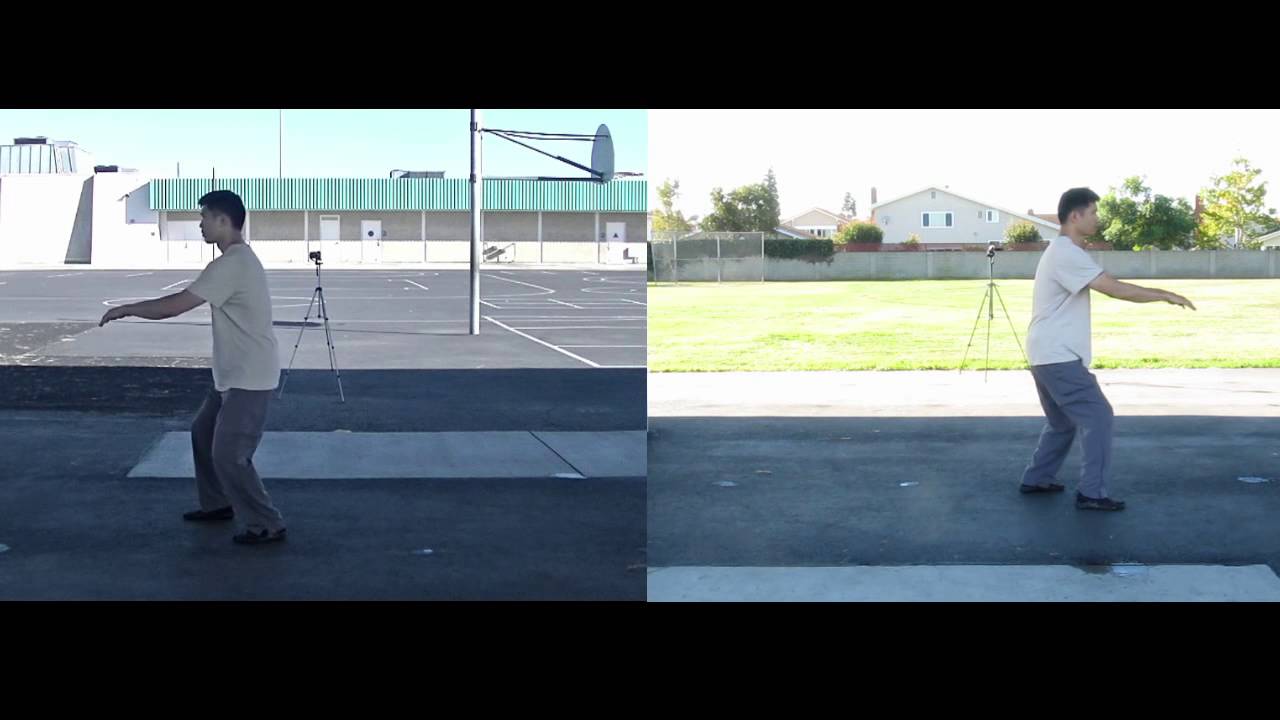 Cheng Man Ching Tai chi 37short form - front and back views combined (鄭子太極37式)