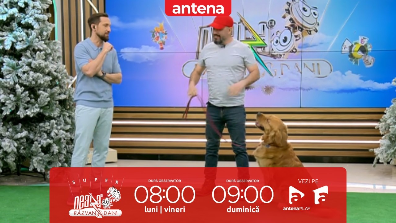 Educație canină cu instructorul de dresaj Cătălin Cornea