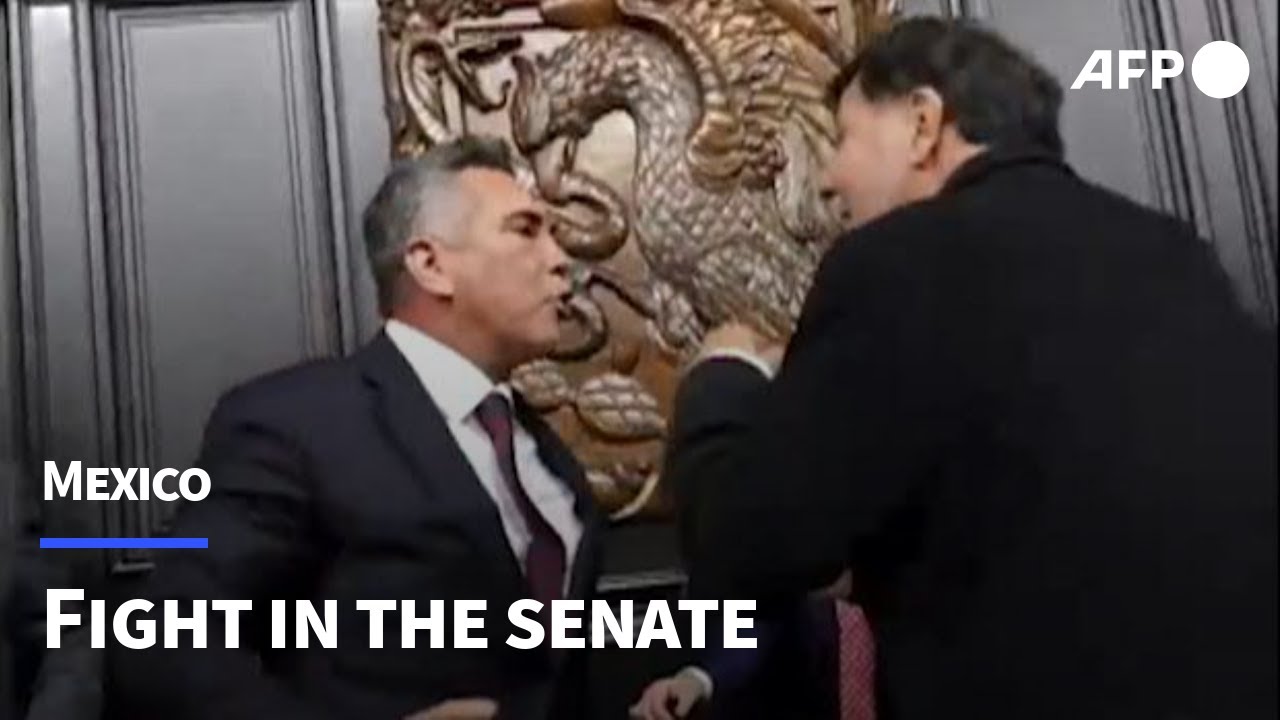 Brawl in Mexico's senate over alleged calls for US intervention against cartels | AFP