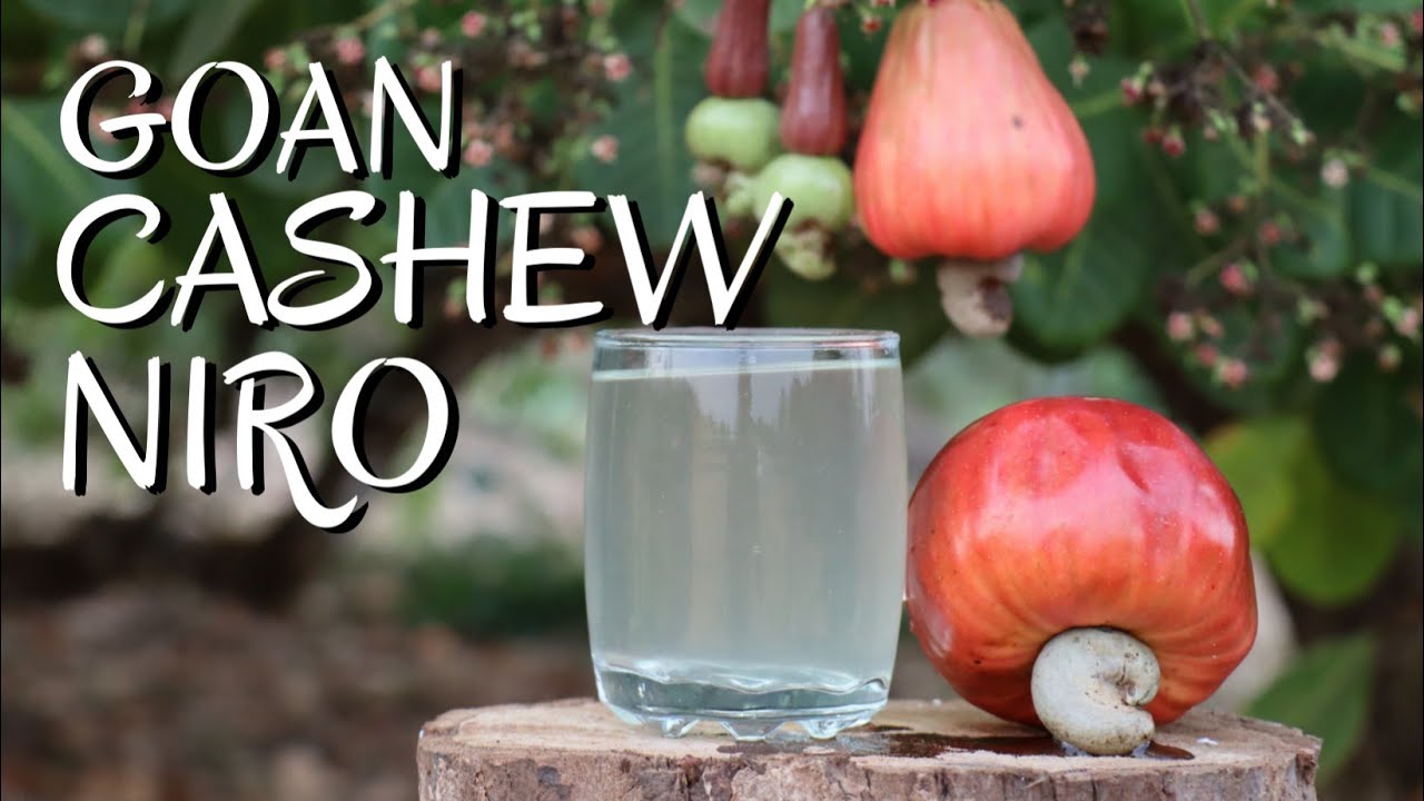 GOAN CASHEW NIRO | PLACE TO GET NIRO IN GOA | PROCESS OF EXTRACTING NIRO | REFRESHING SEASONAL NIRO