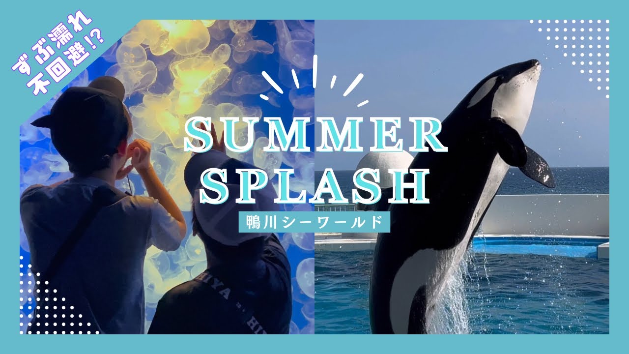 【夏限定‼️ずぶ濡れシャチパフォーマンス】鴨川シーワールドは水着行くべしと知った夏☀️