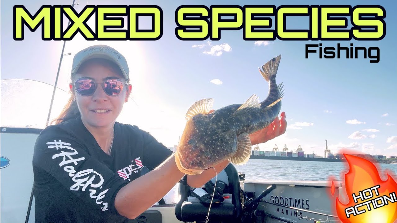 Fishing for MIXED Species using bait and lures!