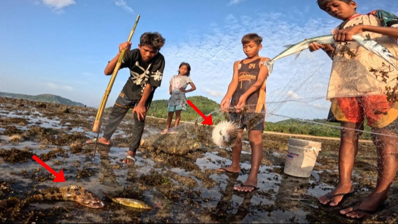 Bihira Mahibasan ang mga Ganitong Isda Catch & Cook