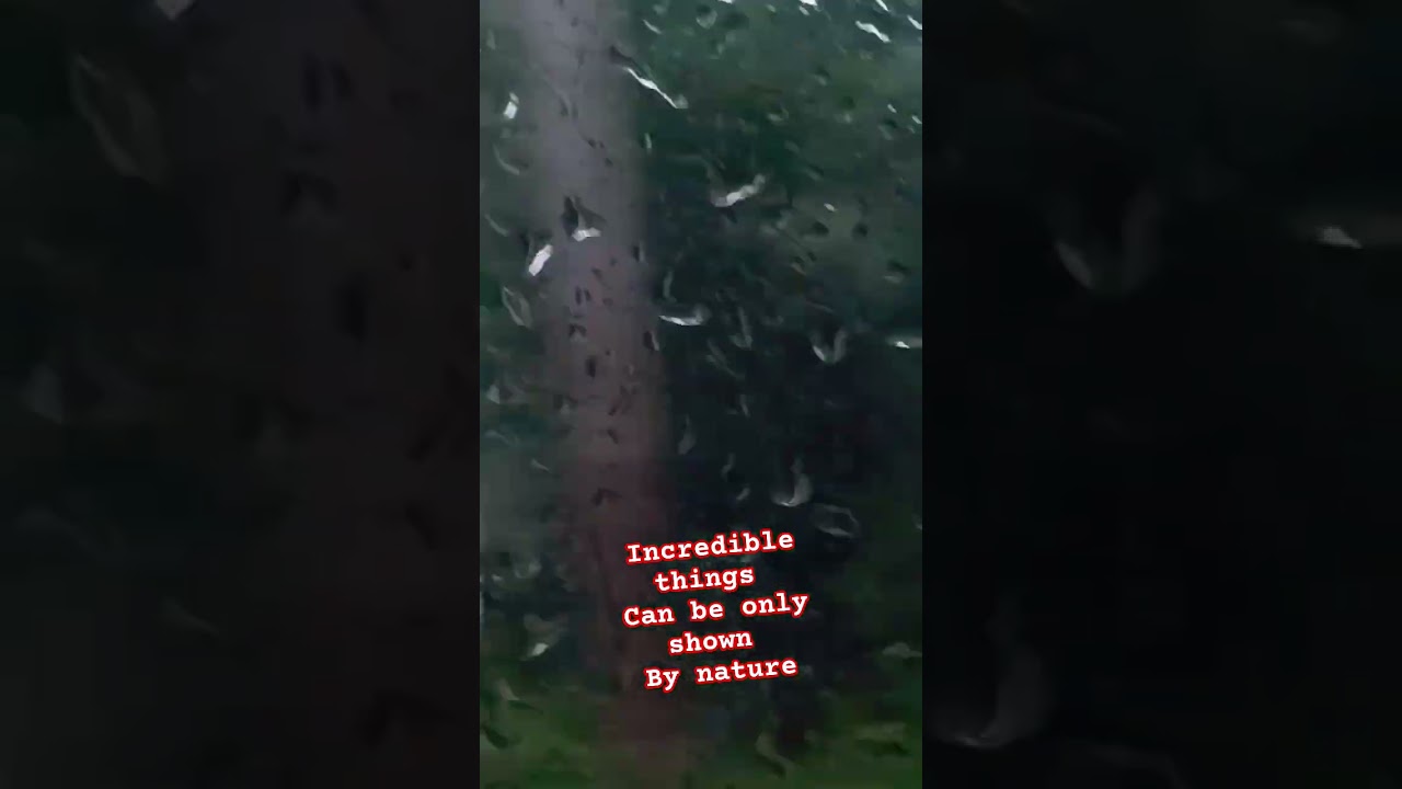 Just incredible things🌿🚴🧘