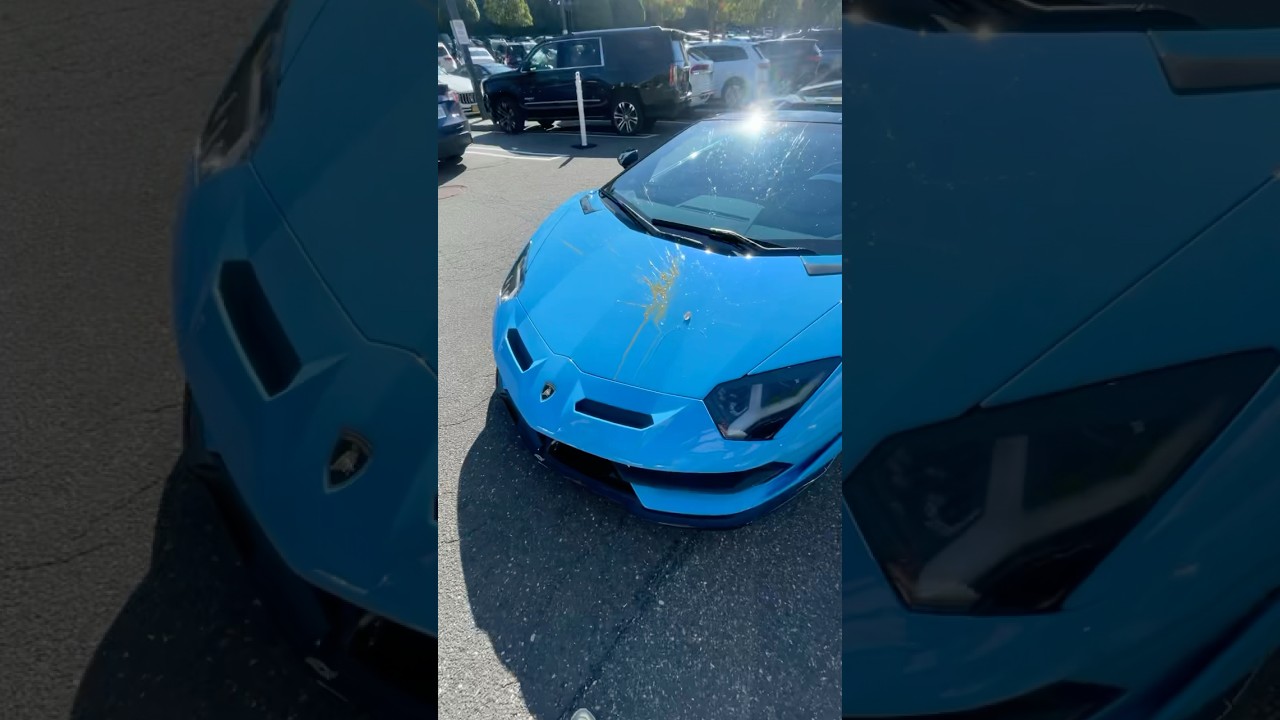 Took the SVJ out after 2 years 😤#lamborghini #aventador #aventadorsvj #shorts #reelsviral #nyc #svj