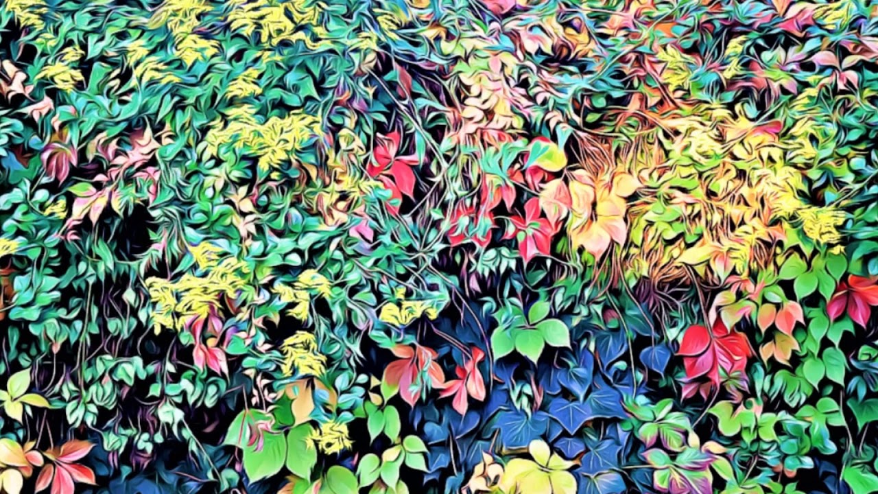 Dal tropismo al panismo