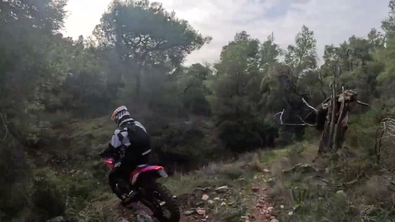 Enduro salmina