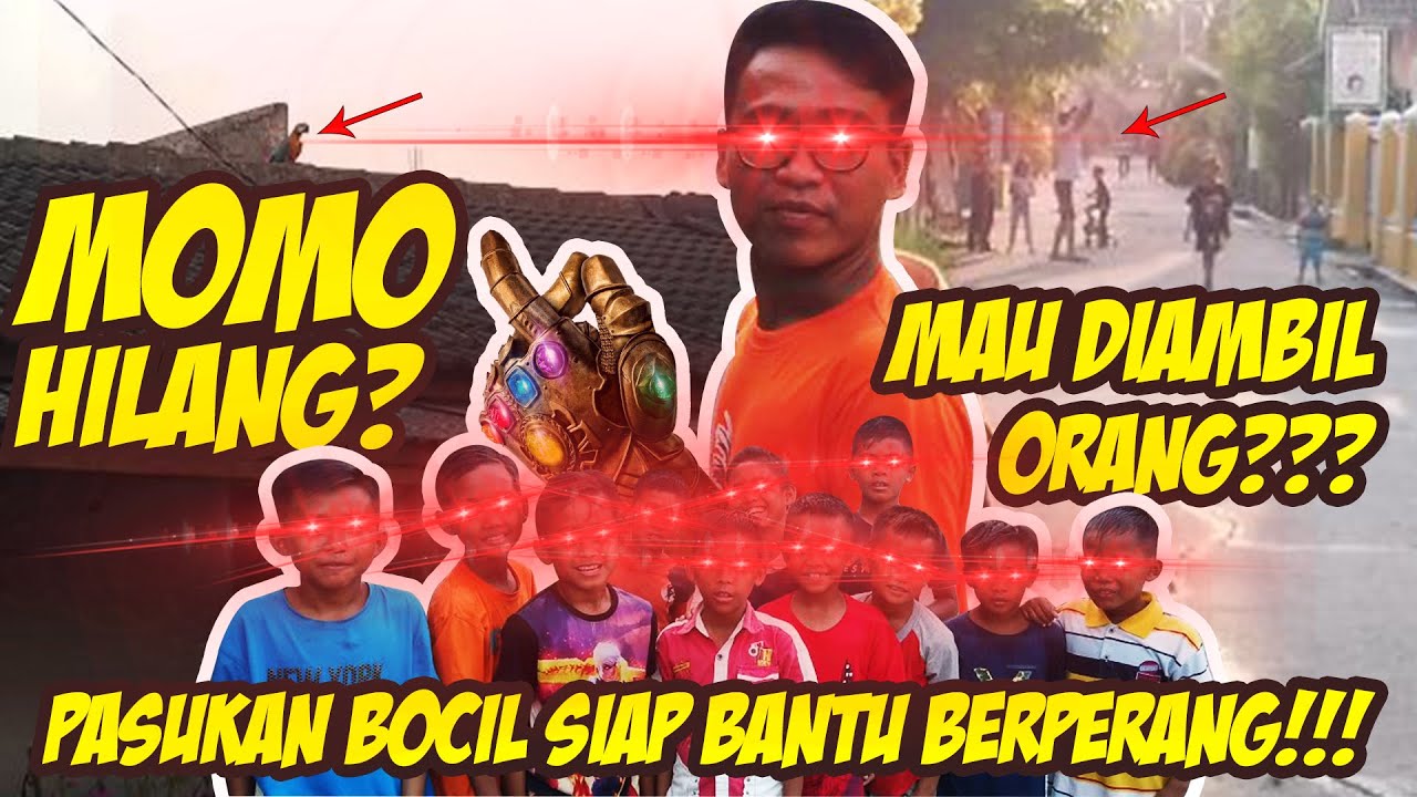 MOMO KABUR MALAH BOCIL DATANG RAME BANGET | PAN1KK MOMO MAU DIAMBIL ORANG