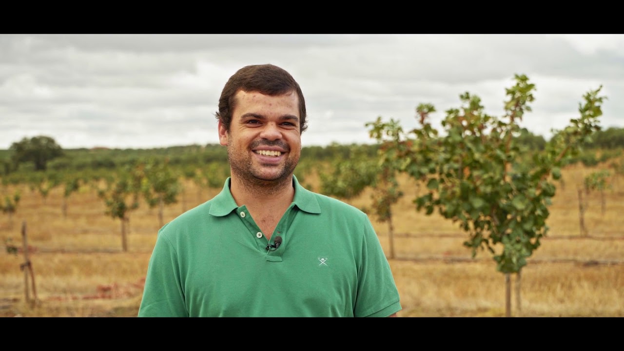 OLIJAN - Projeto de Plantação de Pistácias